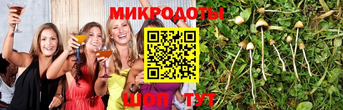 Псилоцибиновые грибы мухоморы  Вход с VPN  Боровичи  Галлюциногенные грибы мухоморы 
